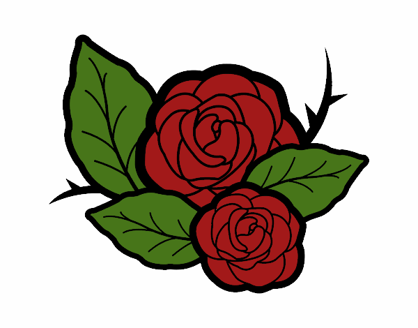 la rosa