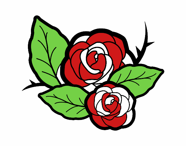 Dos rosas