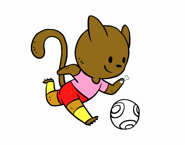 Gato jugando a fútbol