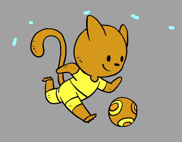 Gato jugando a fútbol