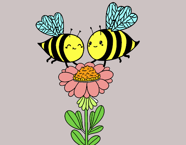 Pareja de abejas