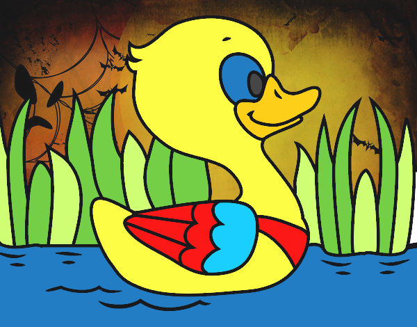 Patito de río