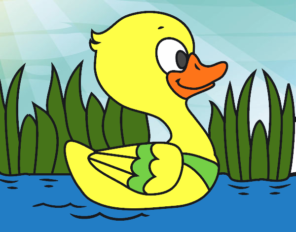 Patito de río