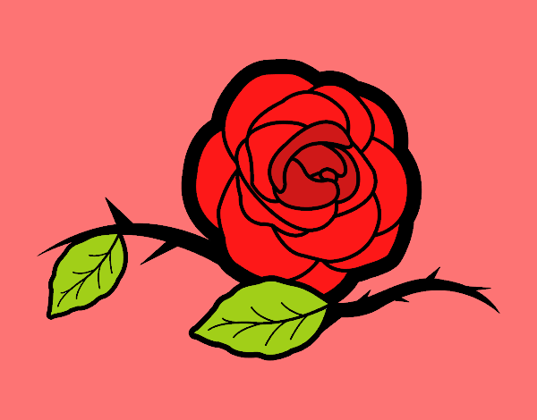 La rosa