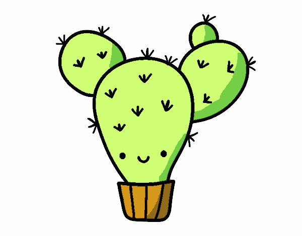 Cactus nopal