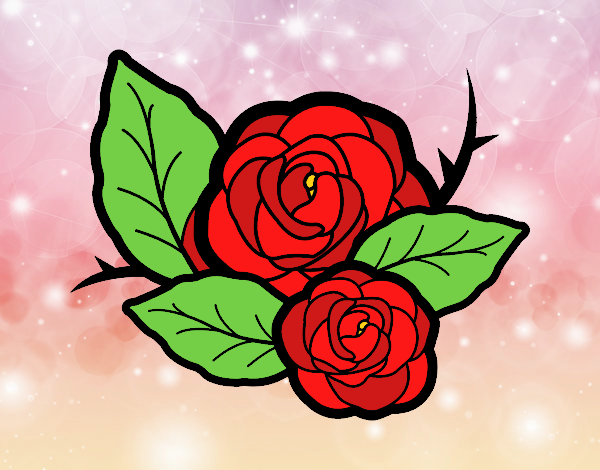 Dos rosas