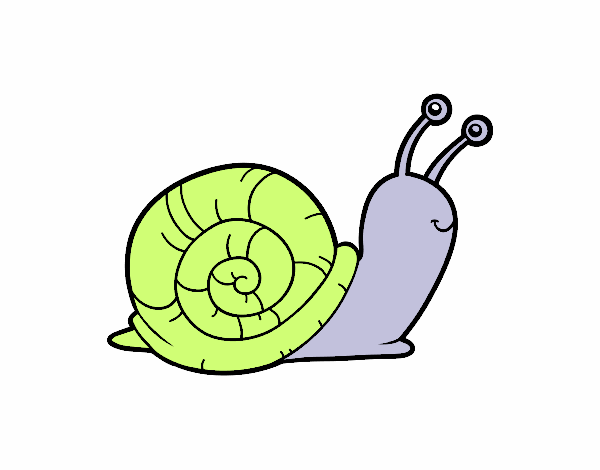 El caracol