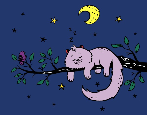 El gato y la luna