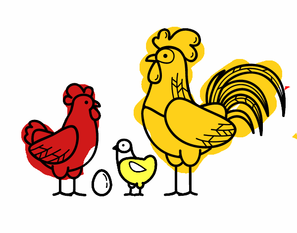 Familia gallina