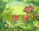 Manuel