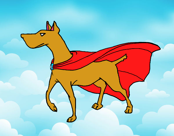 Perro superhéroe