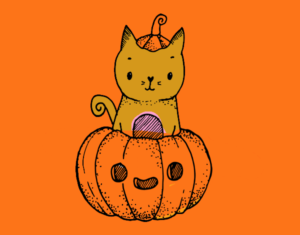 Un gatito de Halloween