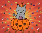 Un gatito de Halloween