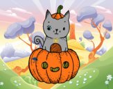 Un gatito de Halloween