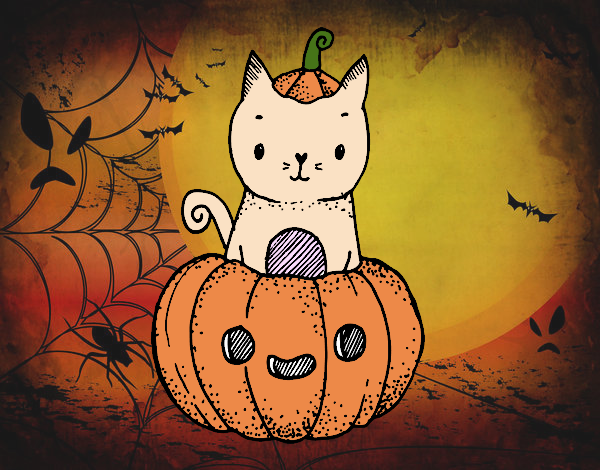 Un gatito de Halloween