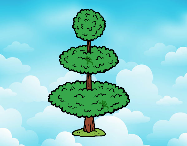 Un árbol 