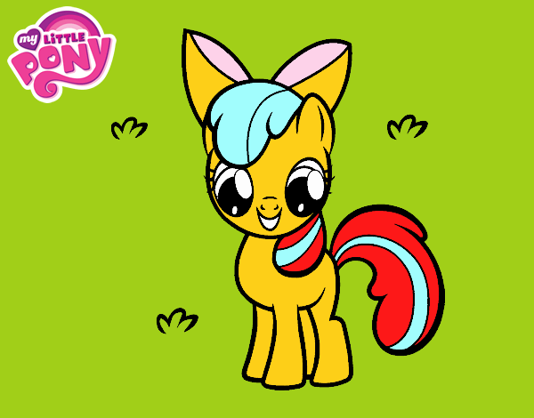 Apple Bloom