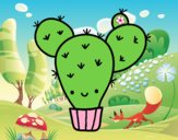 Cactus nopal