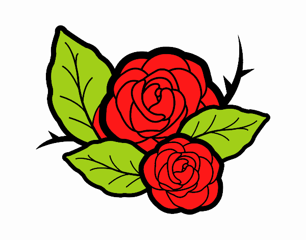 Dos rosas