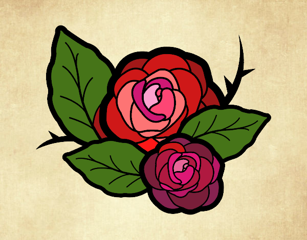 Dos rosas