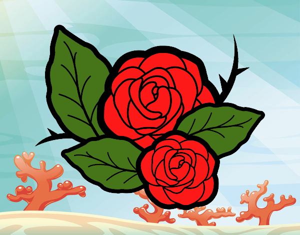 Dos rosas