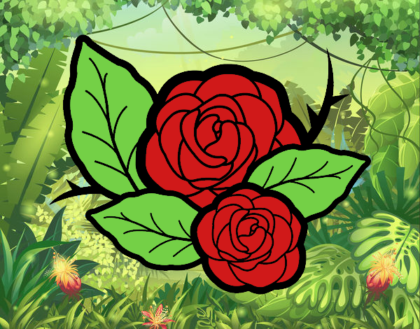 Dos rosas