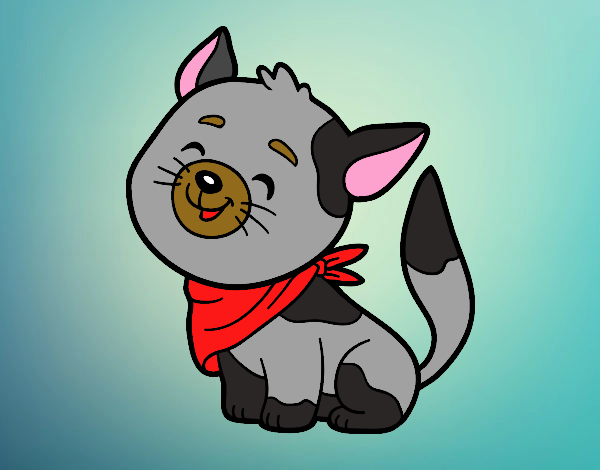 Gato con bandana