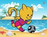 Gato jugando a fútbol