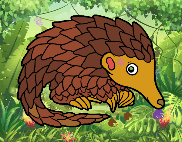 Pangolin