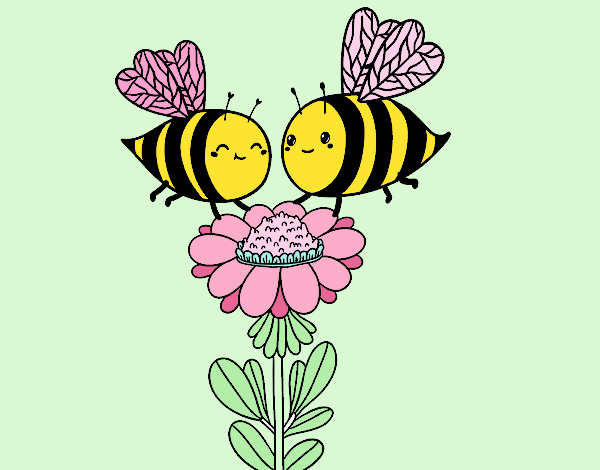 Pareja de abejas