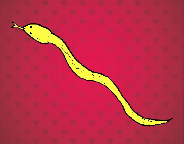 Serpiente venenosa