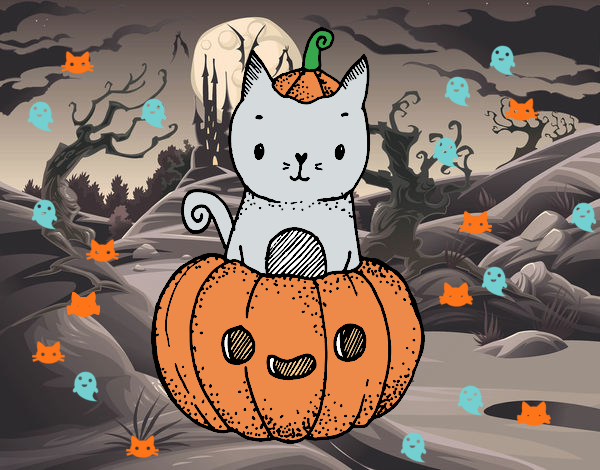 gato vestido de calabaza 🎃(●'◡'●)