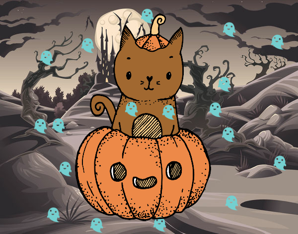 Un gatito de Halloween