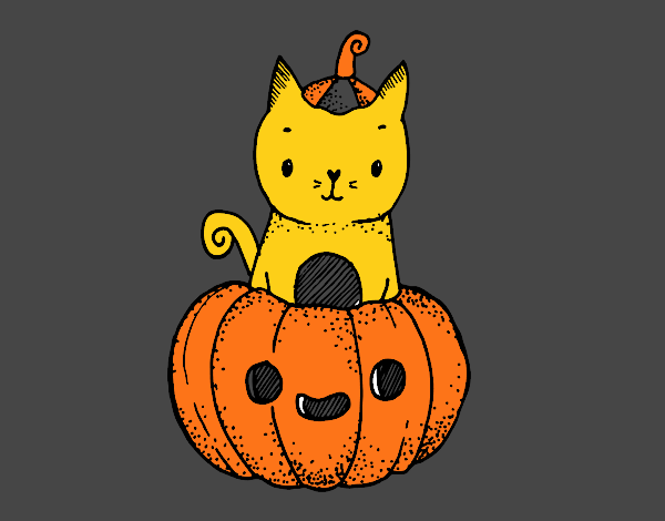 Un gatito de Halloween