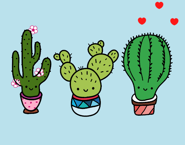 3 mini cactus