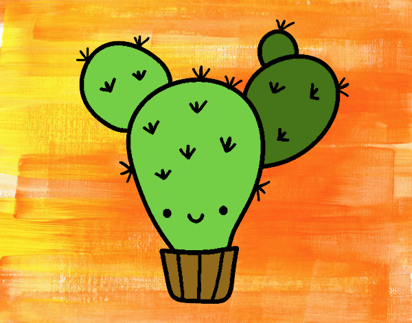 Cactus nopal