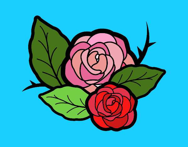 Dos rosas