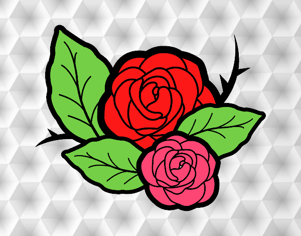 Dos rosas