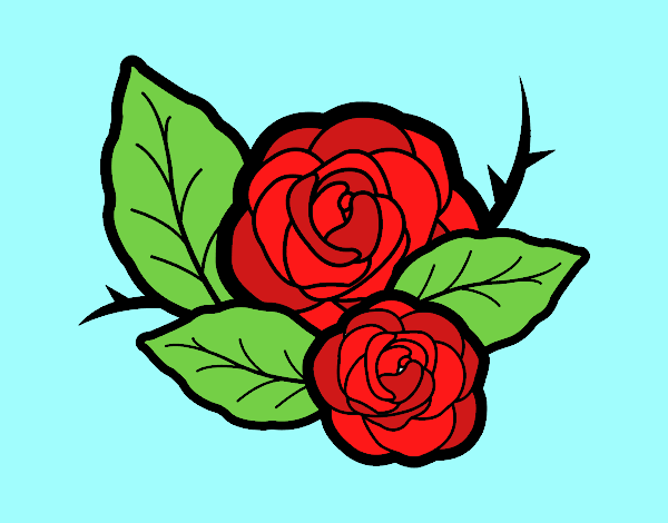 Dos rosas