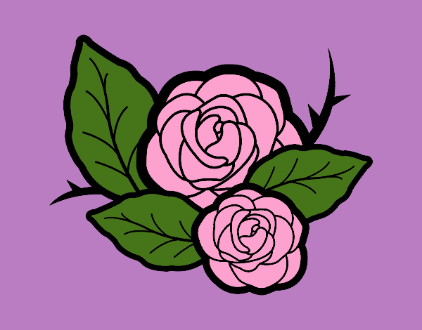 Dos rosas