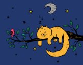 El gato y la luna