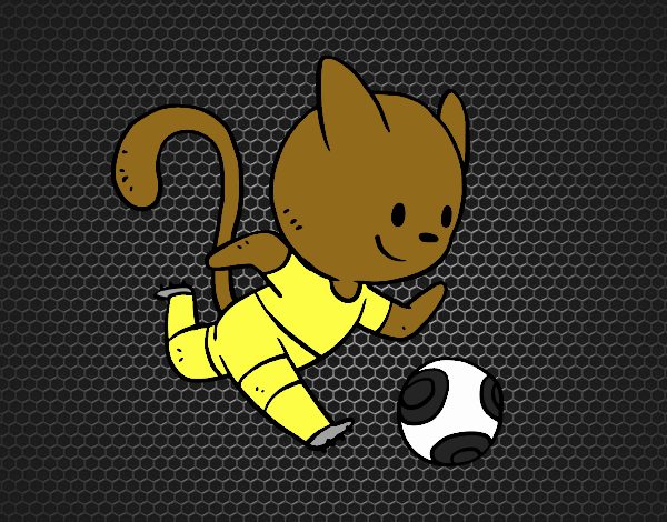 Gato jugando a fútbol