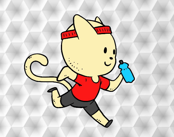 Gato runner