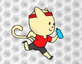 Gato runner