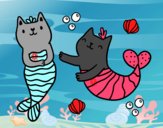 Gatos sirena