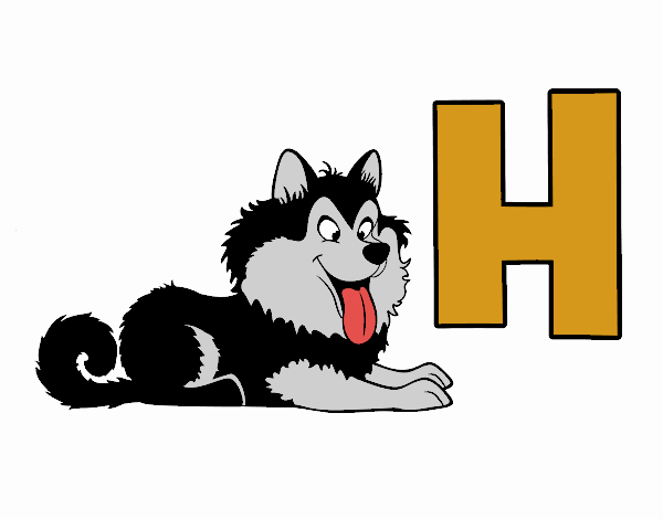 H de Husky