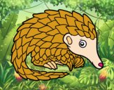 Pangolin