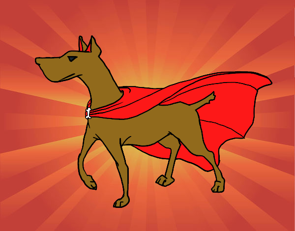 Perro superhéroe