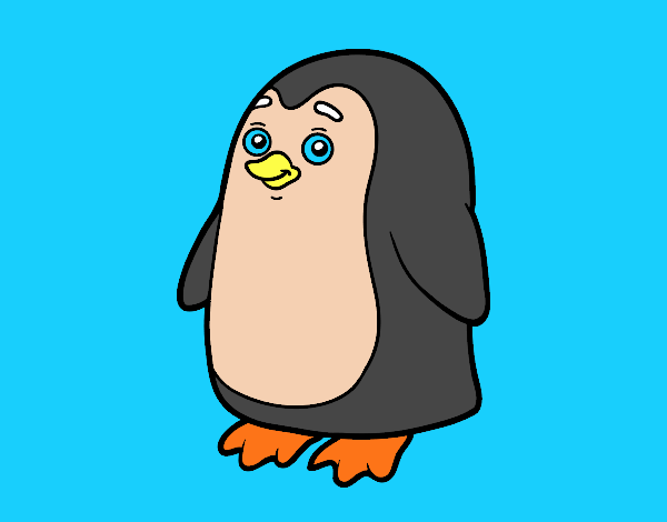 Pingüino antártico