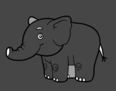 Un elefantito